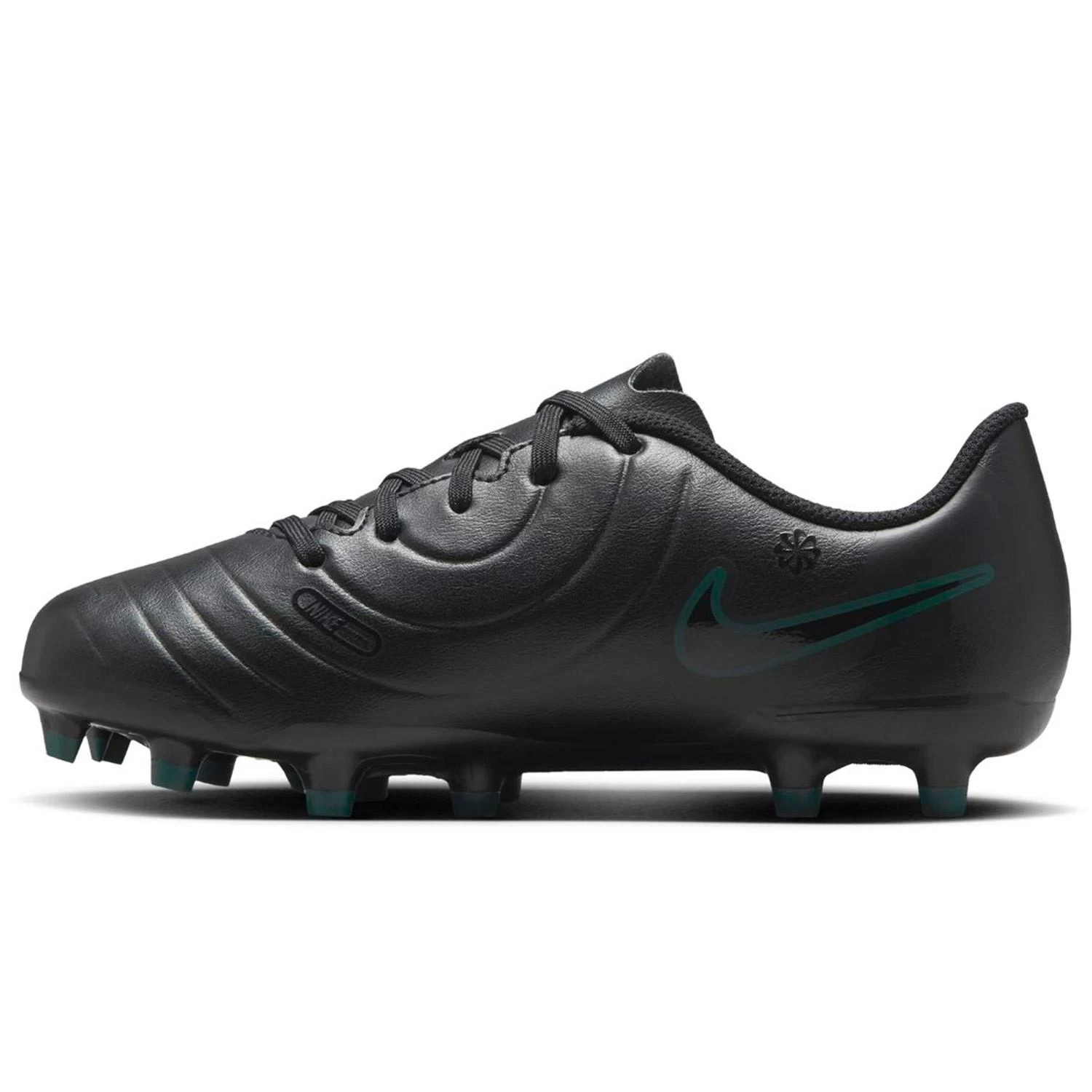 calzado-nike-jr-legend-10-academy-fg-mg-dv4352002-campo_b